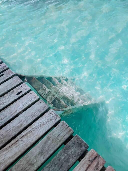 Vacation Home Blue Lotus Caye Caulker Exterior foto